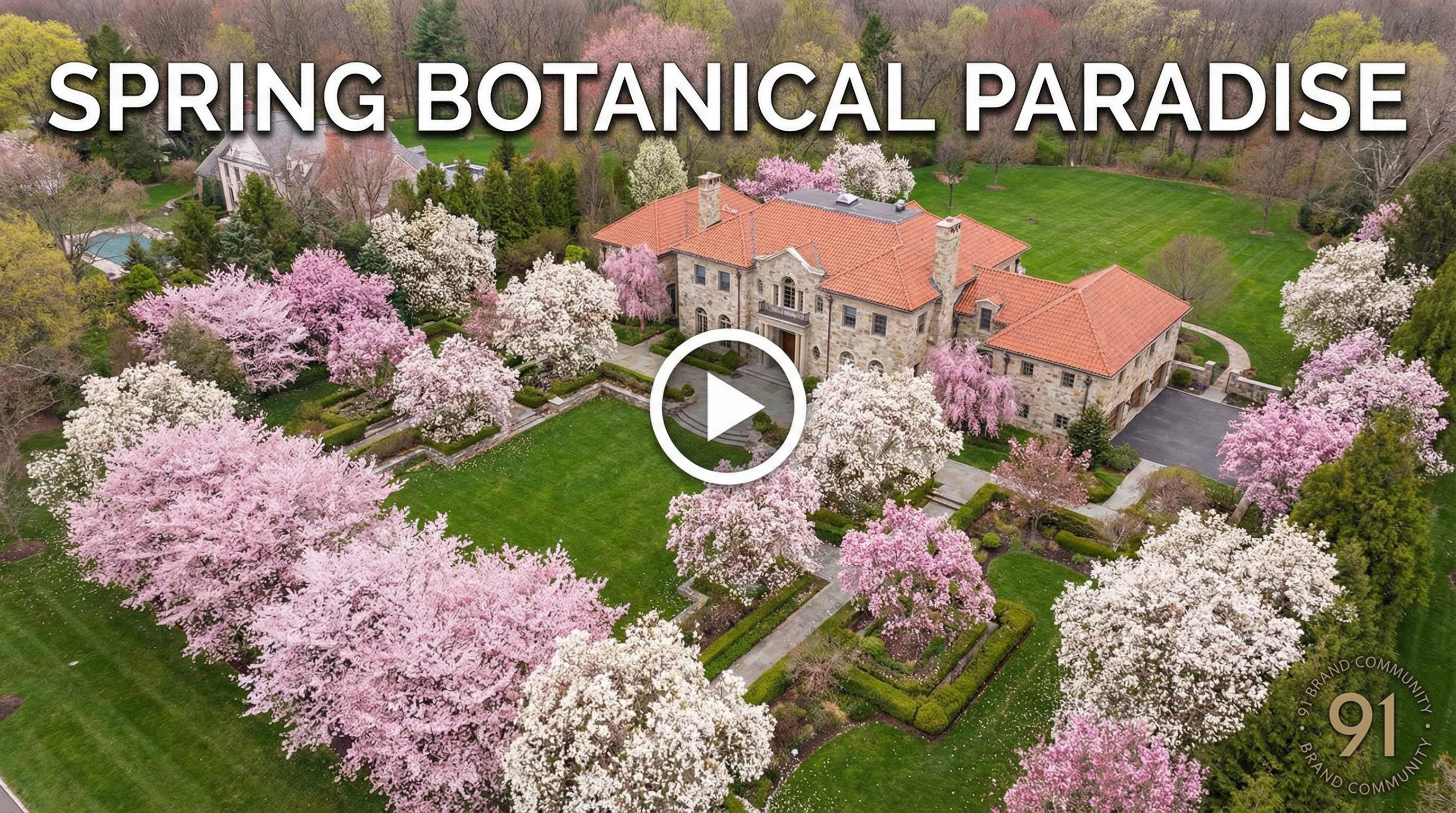 蘑菇视频植物视频